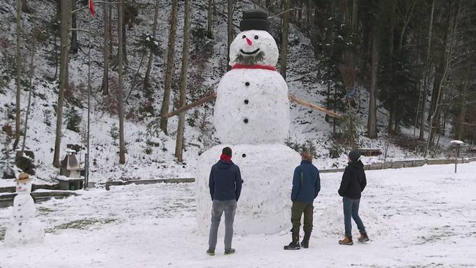Jugendliche bauen fünf Meter hohen Schneemann