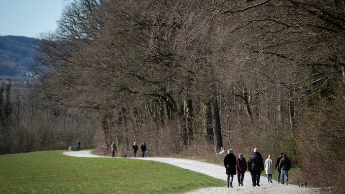 Spaziergänger findet Handgranate in einem Wald am Bodensee