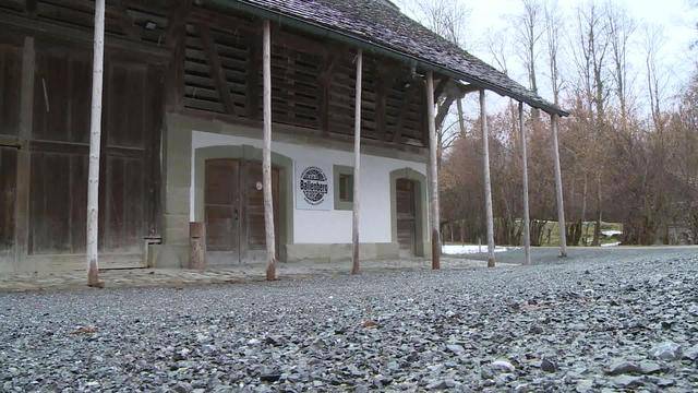 Bessere Zukunft für Freilichtmuseum?