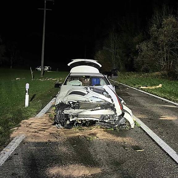 Baum stürzt auf drei Fahrzeuge – Polizei trifft bei Einsatz auf betrunkenen Lenker