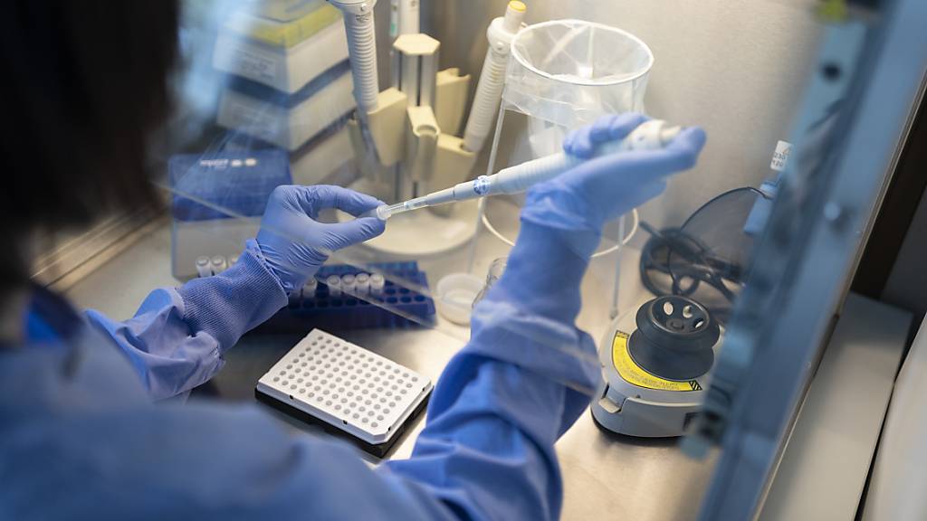 Grossbritannien kehrt zum EU-Forschungsprogramm «Horizon Europe» zurück. Dies teilten die britische Regierung und die EU-Kommission am Donnerstag mit. (Symbolbild)