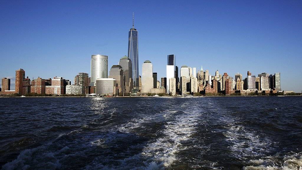 Mit einer einzigen Wasserprobe und DNA-Tests konnten Forscher bestimmen, welche Fische im Hudson River bei New York leben. (Symbolbild)