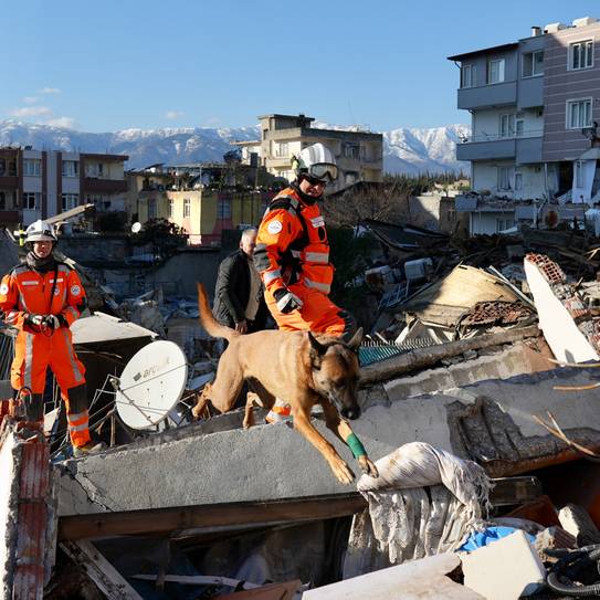 Schweizer Hundestaffel rettet 28 Personen aus Erdbebentrümmern