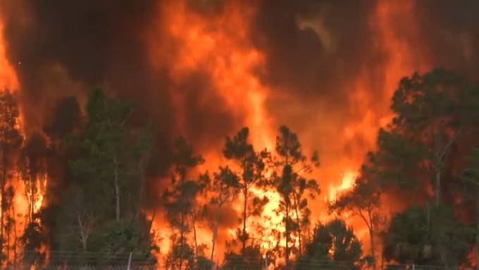 Waldbrand in Florida: Anliegende Autobahn gesperrt