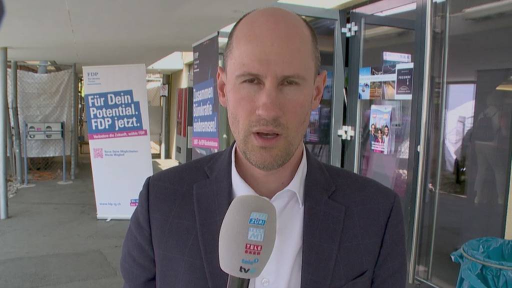 Einschätzung zum FDP-Wahljahr