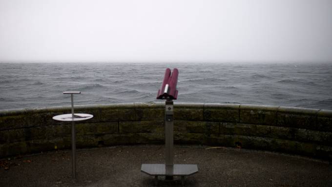 Treibholz behindert Schifffahrt auf dem Bodensee