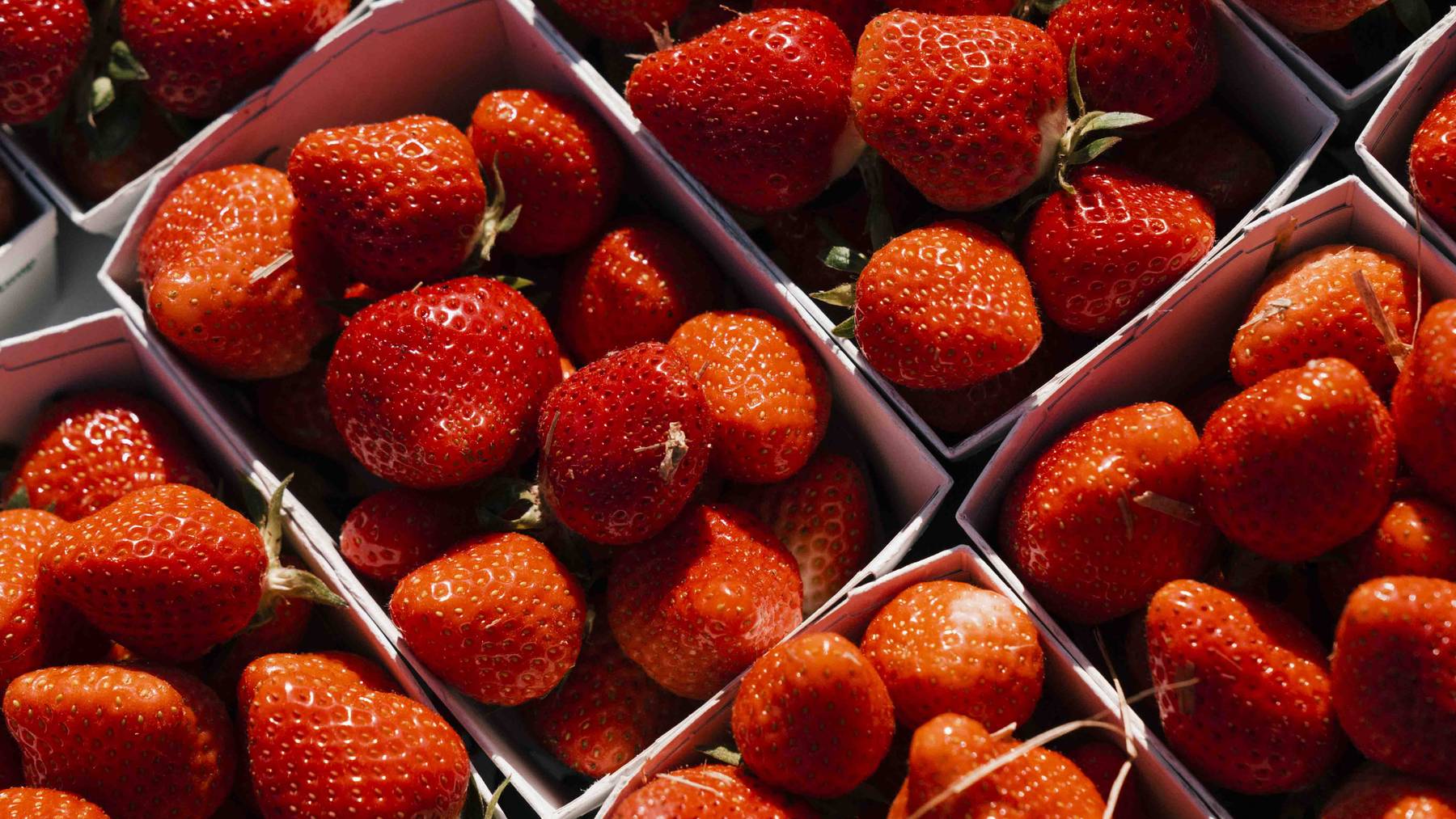 Die Erdbeeren-Saison startet im Kanton Bern. (Symbolbild)