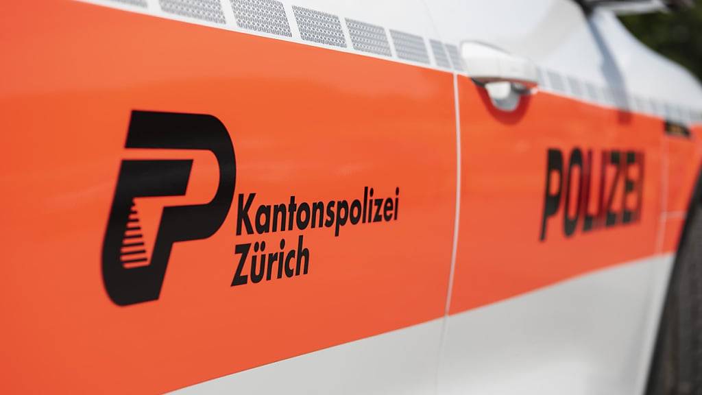 Die Kantonspolizei Zürich ermittelt, wie es zum Brand in Wallisellen gekommen ist. (Archivbild)