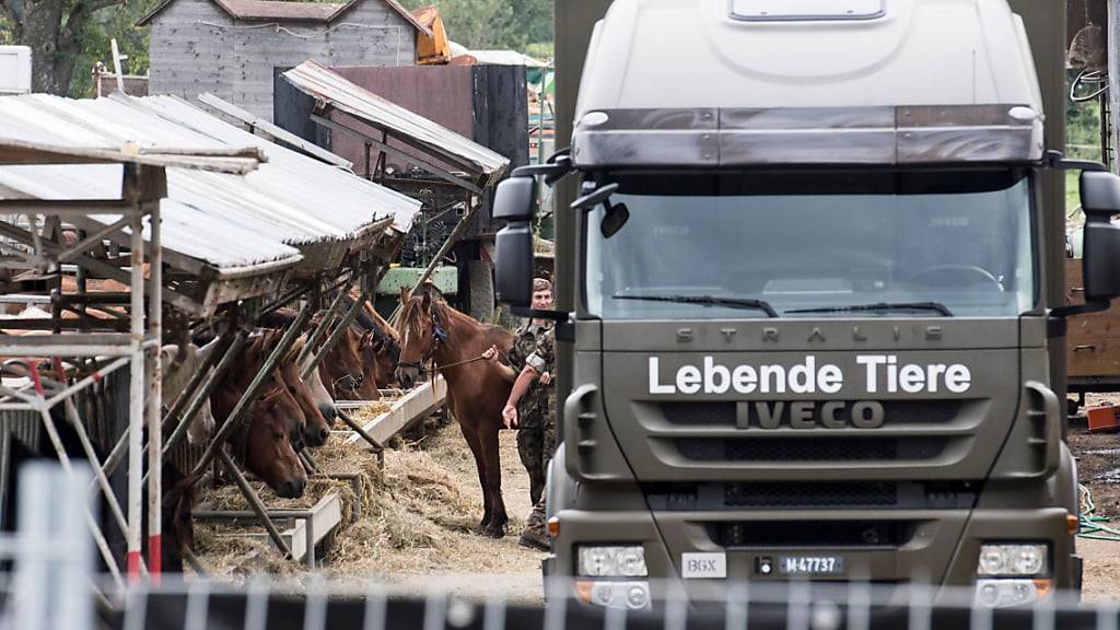Am 8. August 2017 transportierte die Armee die Pferde vom Hof in Hefenhofen ab. (Archivbild)