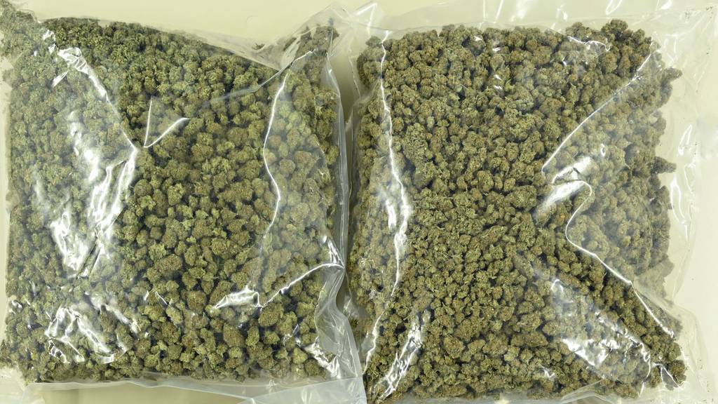 Drogendealer aus Ebikon verkauft über 300 Kilo Gras