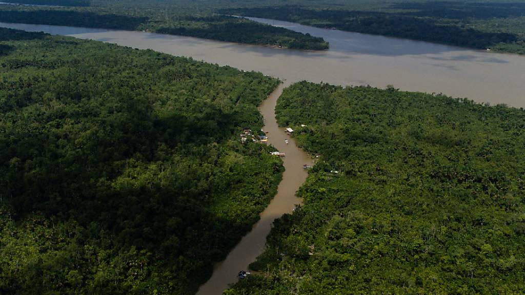 Blick auf den Fluss Guama und den Amazonas-Regenwald. Erstmals seit 14 Jahren sind die Staats- und Regierungschefs der südamerikanischen Amazonasländer wieder zu einem gemeinsamen Gipfeltreffen zusammengekommen. Foto: Filipe Bispo Vale/dpa