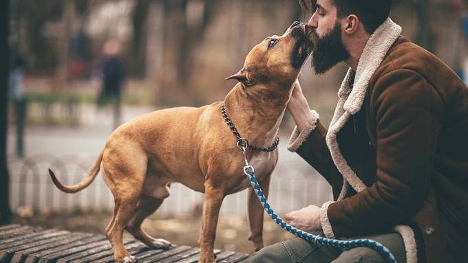 Ein Hund ist hygienischer als ein Bart