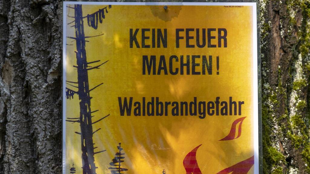 «Wir brauchen dringend Regen!» Kommt im Aargau bald das Feuerverbot?