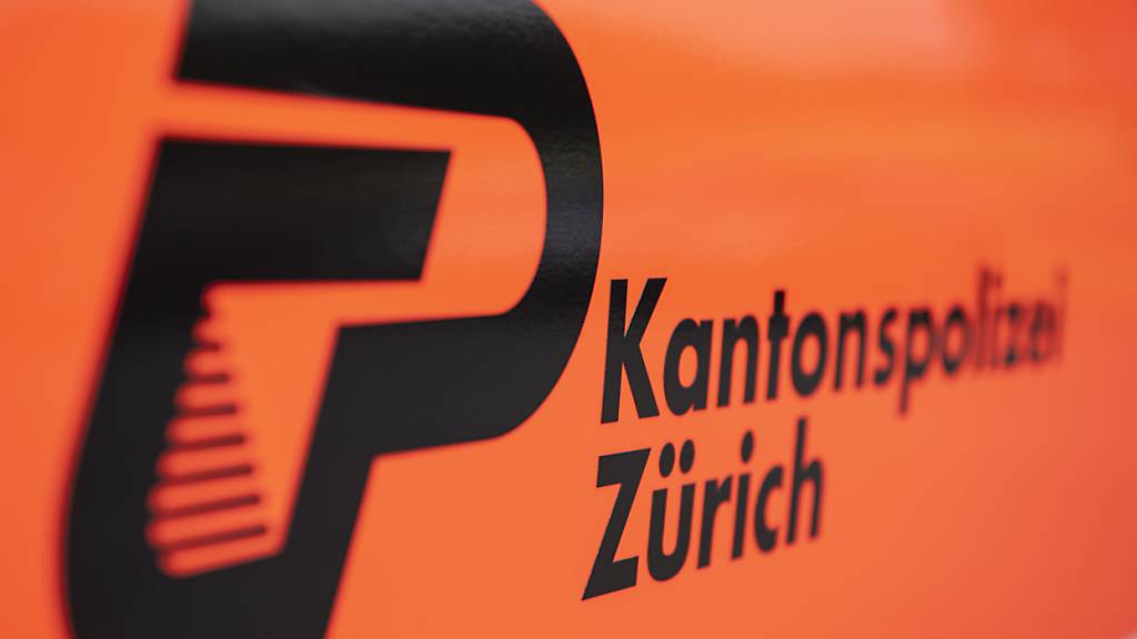 Die Kantonspolizei Zürich hat in Stallikon ZH drei Männer verhaftet. (Archivbild)