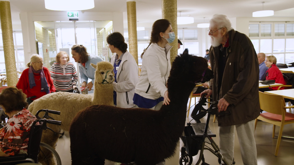 Tiergestützte Demenztherapie