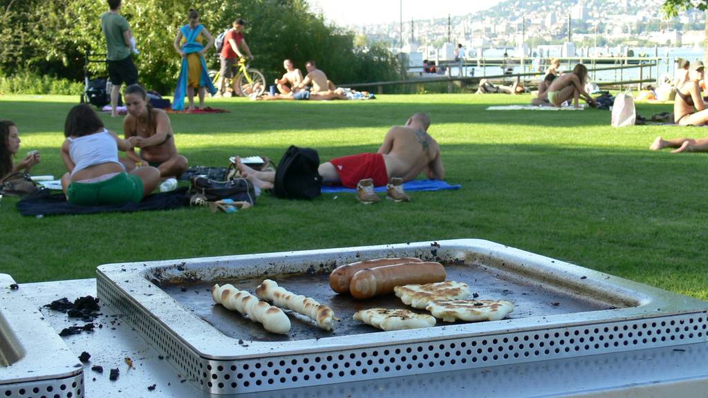 Grillplätze Zürihorn