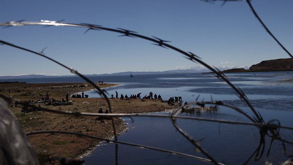 Heimat des Telmatiobius: Im Zufluss zum Titicacasee wurden tausende verendeter Riesenfrösche gefunden. (Archivbild)