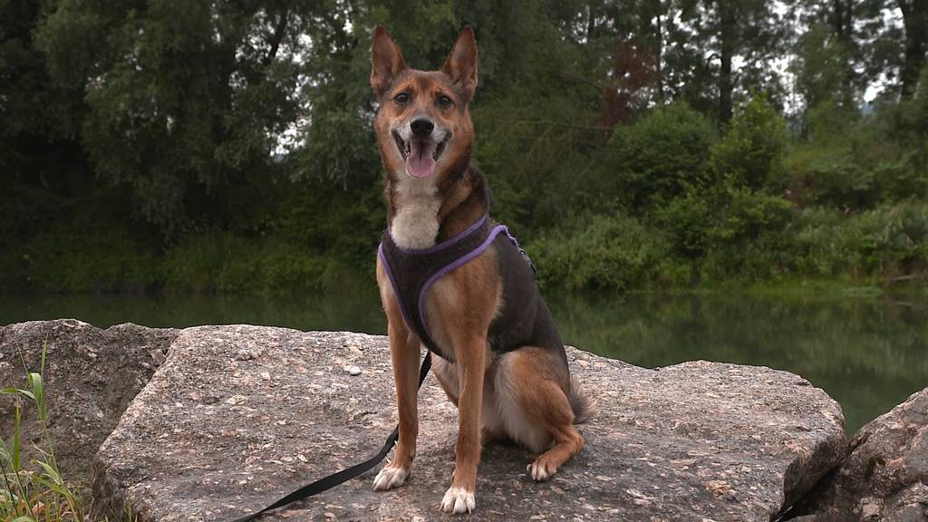 Xena