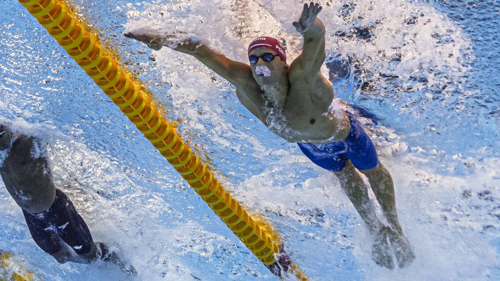 Stilstudie von Noè Ponti in seiner Paradedisziplin Delfin