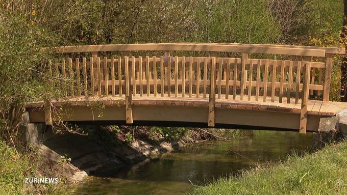 Rickenbach: Lausbuben bauen Brücke über den Dorfbach