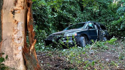 Volvofahrer flüchtet auf A1 vor Polizei und knallt in Baum