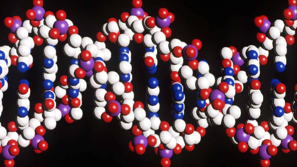 Digitale Schlüssel dank DNA-Molekülen