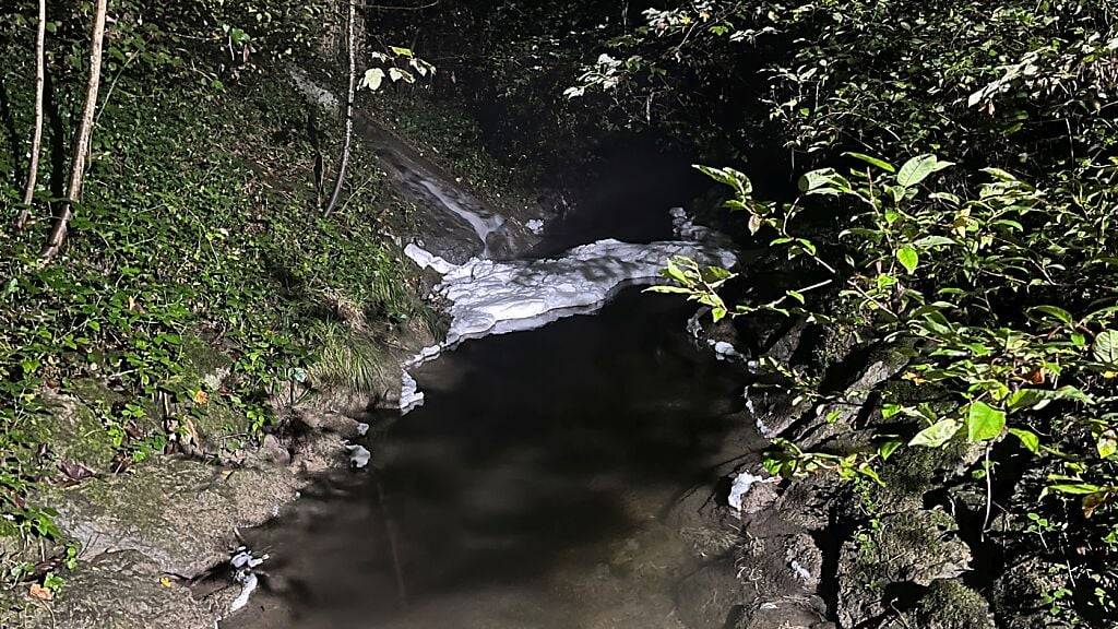 Im Tägelbach in Frauenfeld kam es in der Nacht auf Samstag zu einem grösseren Fischsterben.