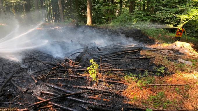 St.Galler Menzlenwald in Brand