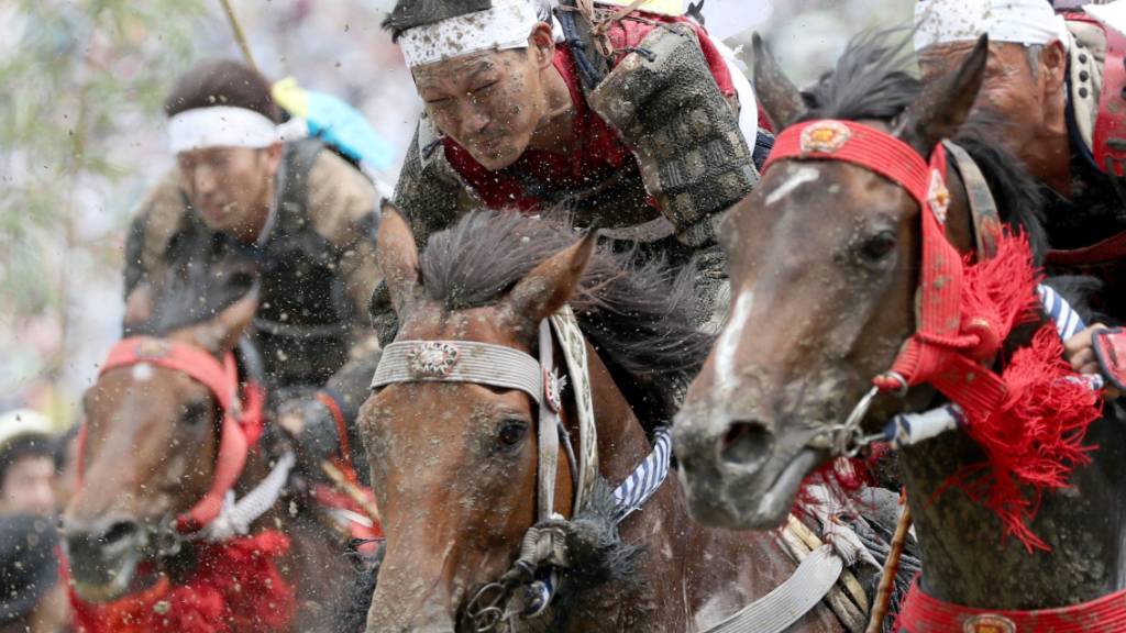Beim Wildpferderennen erlitten über 100 Pferde einen Sonnenstich. (Archivbild)