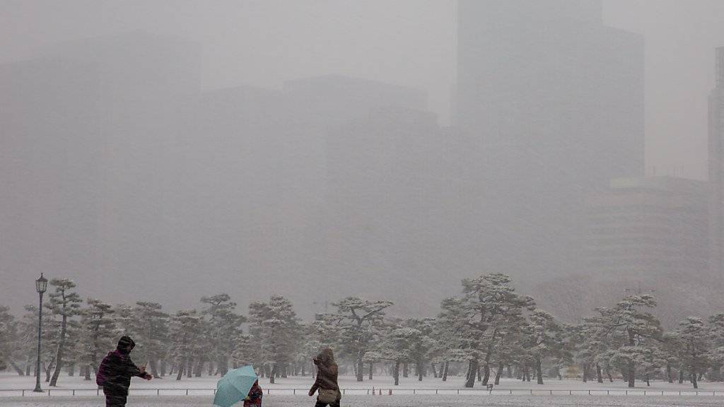 Passanten kämpfen sich durch die Schneeschnauer in einem Park in Tokio.