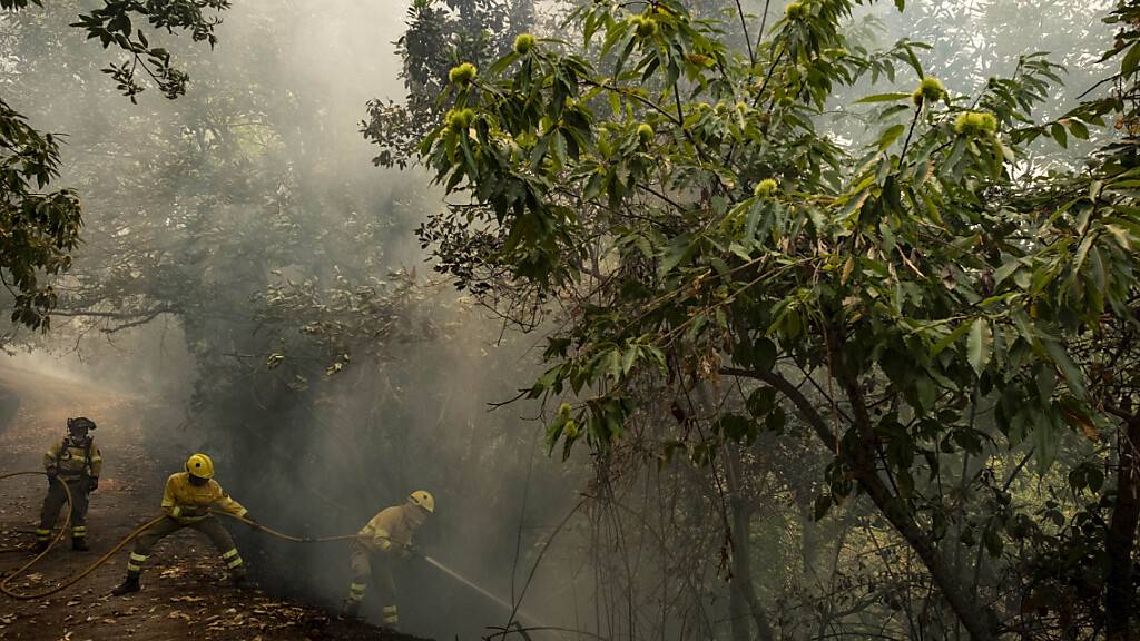 Rettungskräfte und Feuerwehrleute auf Teneriffa arbeiten daran ein Feuer zu löschen. Foto: Arturo Rodriguez/AP/dpa