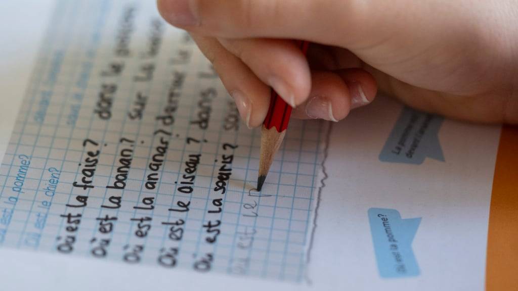 Der Bundesrat sieht die kantonalen Entscheide zur Abschaffung des Frühfranzösisch kritisch. Er lässt Vorgaben ausarbeiten, um die zweite Landessprache an Primarschulen falls nötig durchzusetzen. (Themenbild)