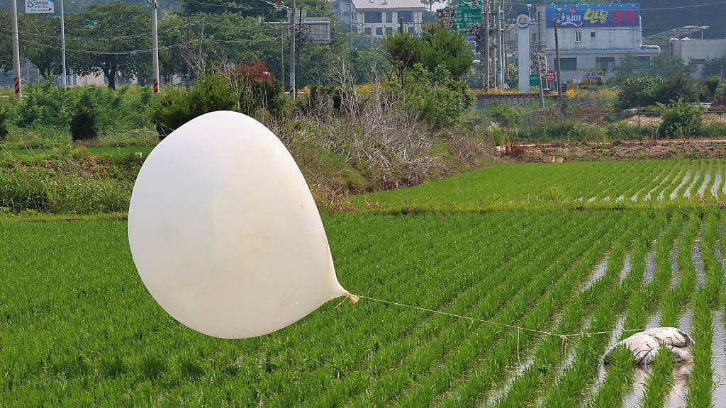 ARCHIV - Das nordkoreanische Militär hat erneut Müll-Ballons über die Grenze nach Südkorea geschickt. Foto: -/YNA/dpa