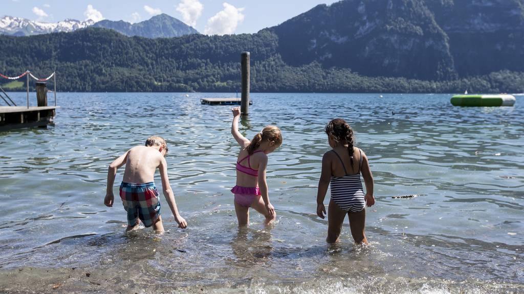 Baden Sommer See Vierwaldstättersee
