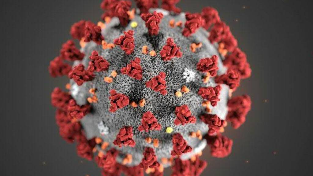 Westliche Geheimdienste halten die Theorie von einem Laborunfall als Ursprung der Pandemie mit dem Coronavirus für «höchst unwahrscheinlich». (Symbolbild)