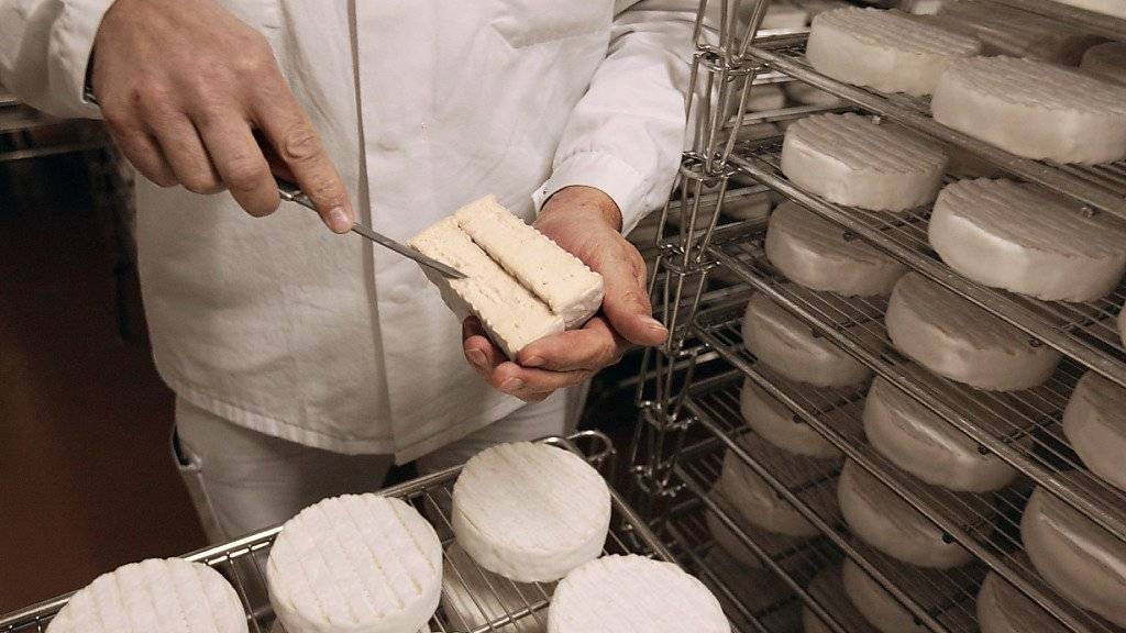 Der Normandie-Camembert darf künftig auch mit pasteurisierter Milch hergestellt werden - nicht mehr nur aus Rohmilch. (Symbolbild)