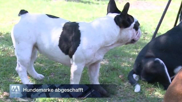 SwissNews