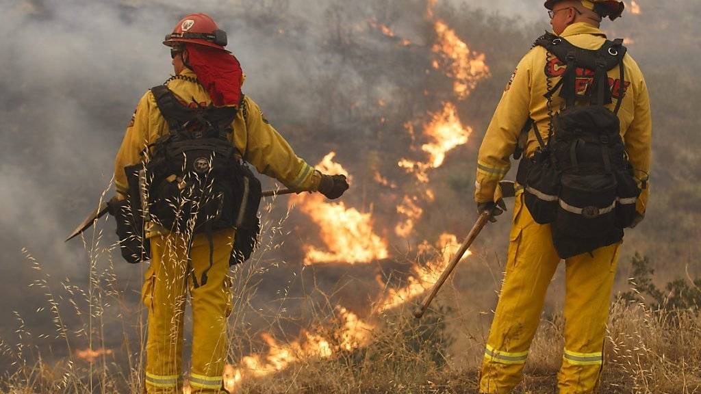 Die Feuerwehr bekämpft das «Sand Fire» nördlich von Los Angeles. Der Brand hat sich über eine Fläche von mehr als 13'000 Hektar Land ausgebreitet.