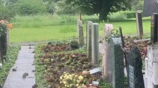 Krähen attackieren Gräber und verwüsten Friedhof in Kilchberg