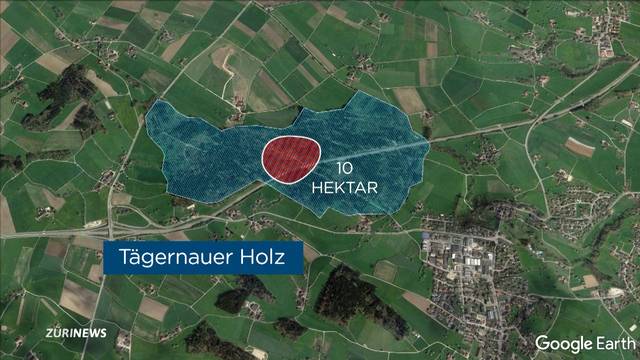 14 Fussballfelder grosses Waldstück als Abfalldeponie?