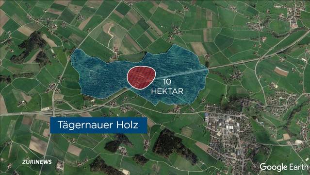 14 Fussballfelder grosses Waldstück als Abfalldeponie?