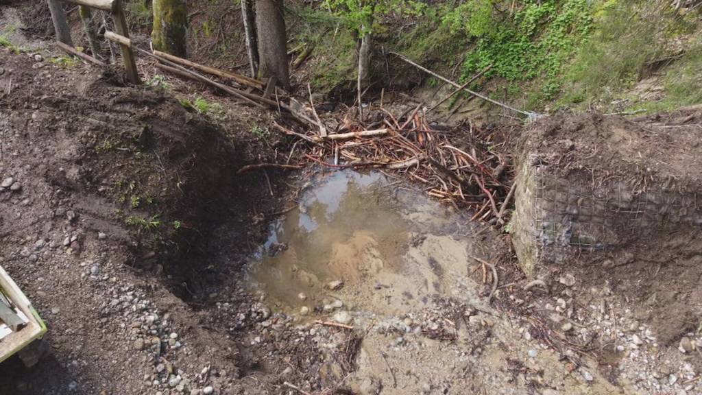 Neue Brücke aus Strommasten