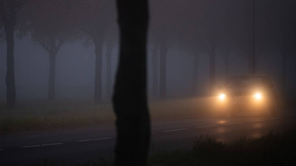 Nebel und Auto