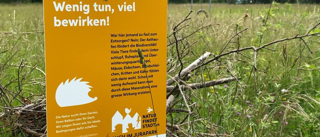 Naturama Aargau staubt Preisgeld für mehr Biodiversität ab