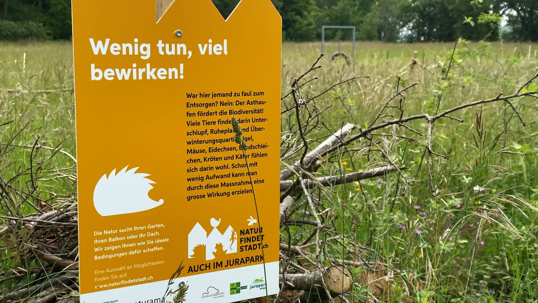 Thumb for ‹Naturama Aargau staubt Preisgeld für mehr Biodiversität ab›