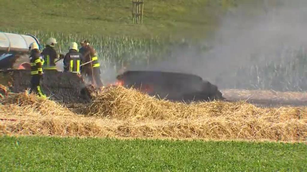 7500 Quadratmeter verbrannt: Feuer in Affeltrangen (TG) zerstört Weizenfeld