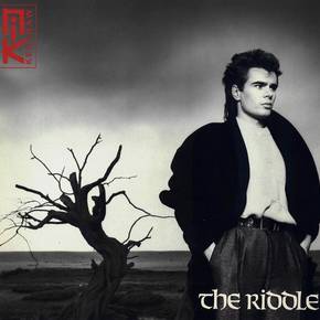 THE RIDDLE (1984)