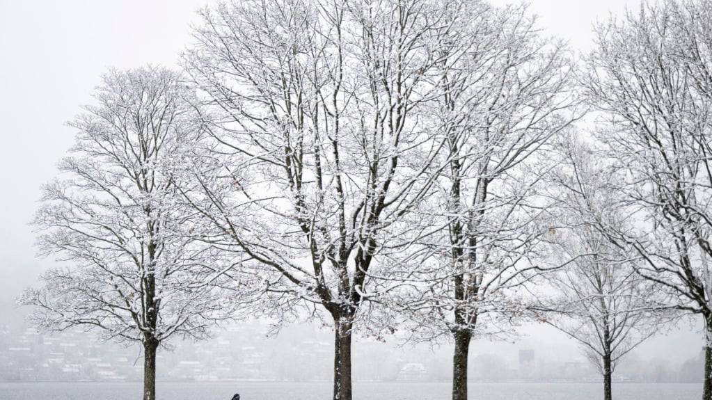 Vor ein paar Tagen fiel im Flachland der erste Schnee. Das ist für November nicht ungewöhnlich. (Archivbild)