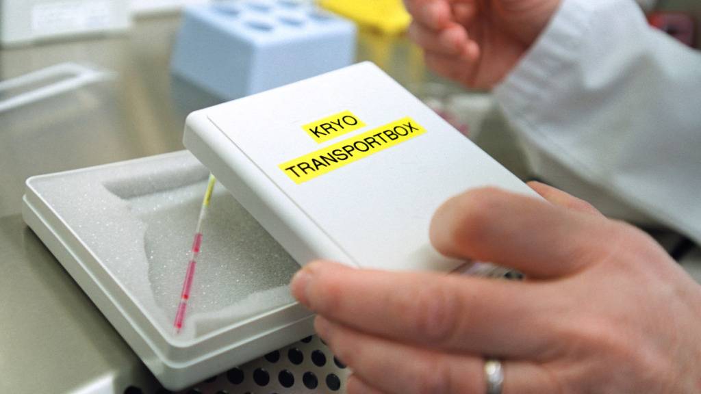 Alleinstehende Frauen sollen Zugang zu Fortpflanzungsmedizin haben