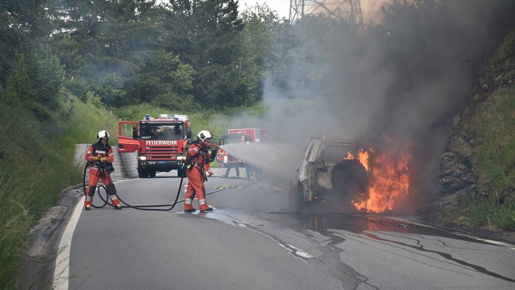 Auf der Lenzerheidstrasse ist am Freitagabend ein Auto in Flammen aufgegangen.